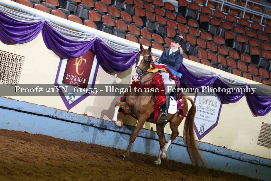 Proof 21YN_61955