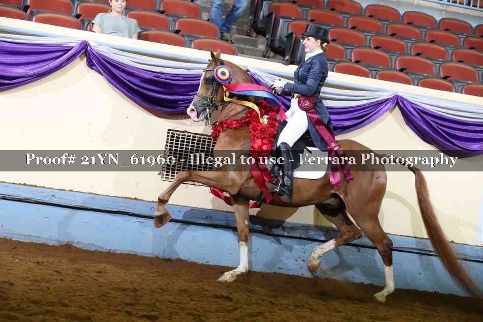 Proof 21YN_61960