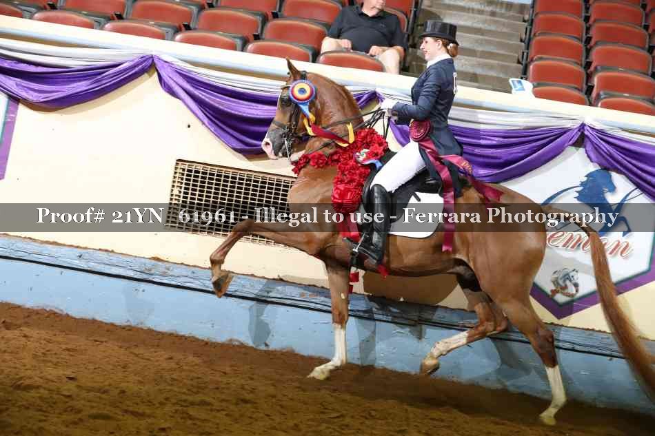 Proof 21YN_61961