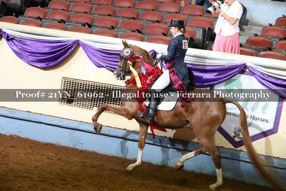 Proof 21YN_61962
