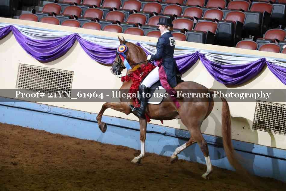 Proof 21YN_61964