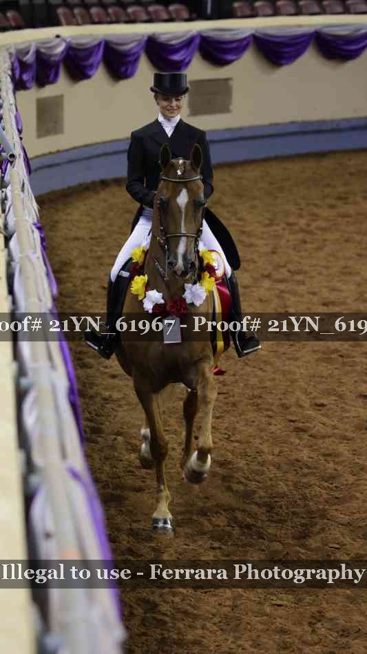 Proof 21YN_61967