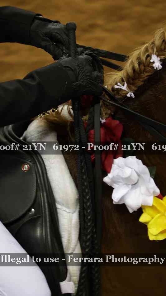 Proof 21YN_61972