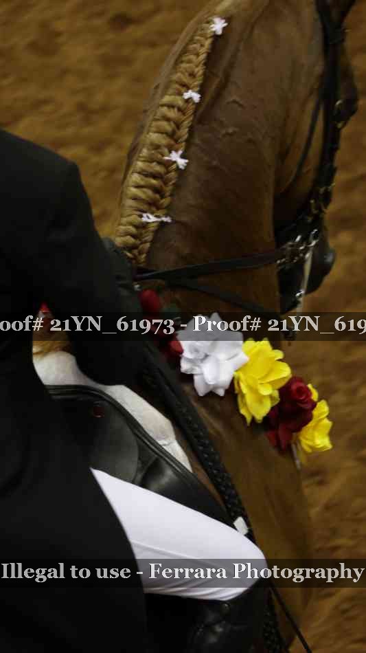 Proof 21YN_61973