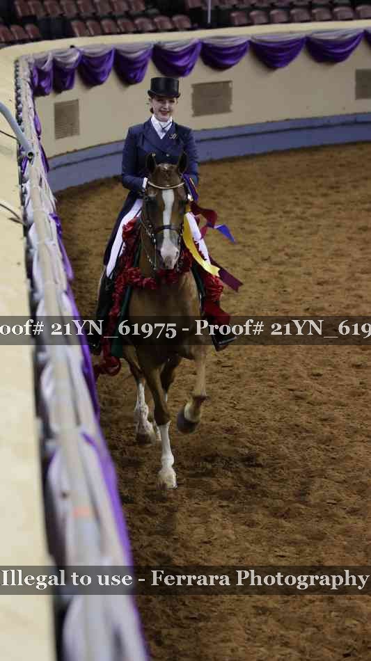 Proof 21YN_61975