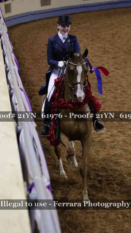 Proof 21YN_61976