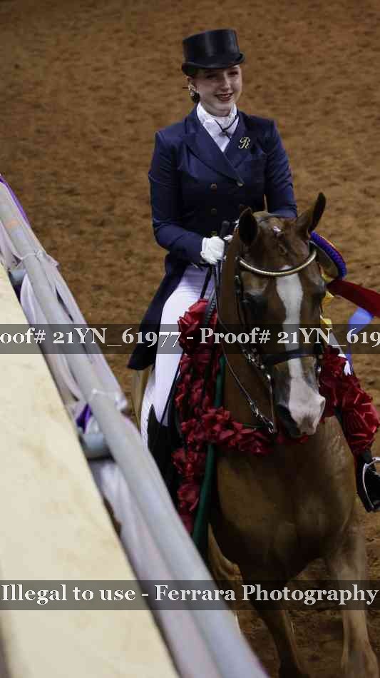 Proof 21YN_61977