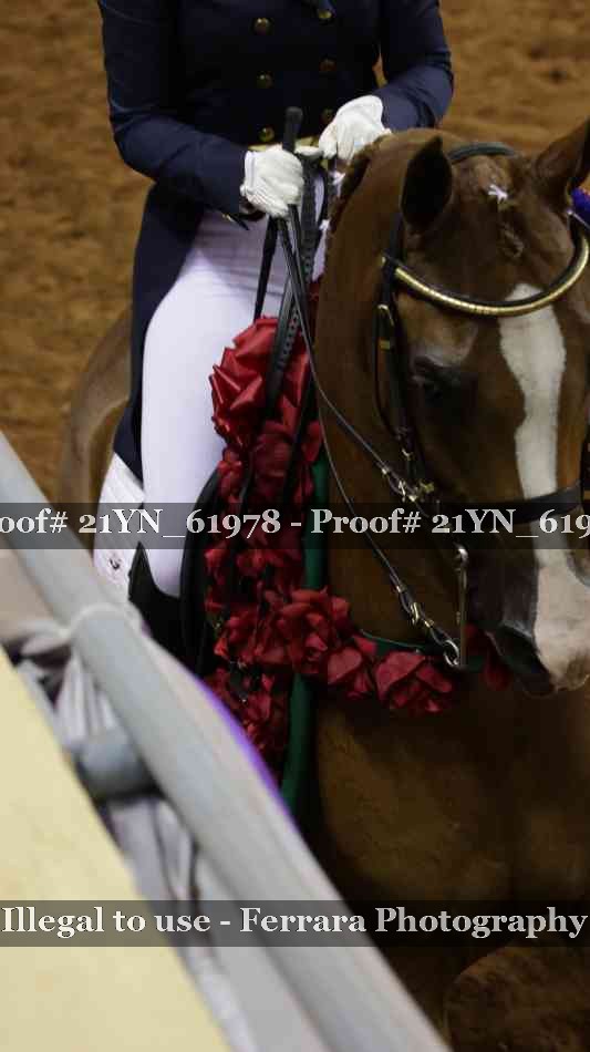 Proof 21YN_61978