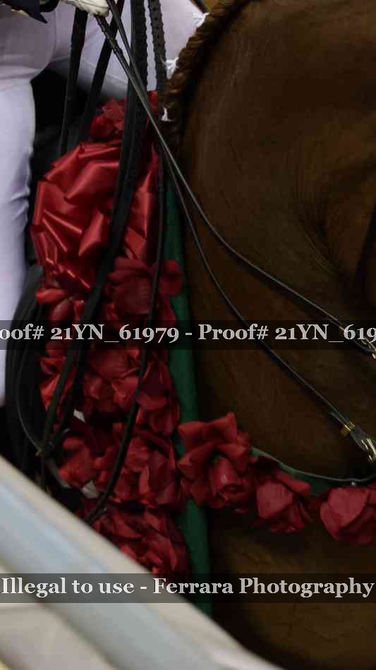 Proof 21YN_61979