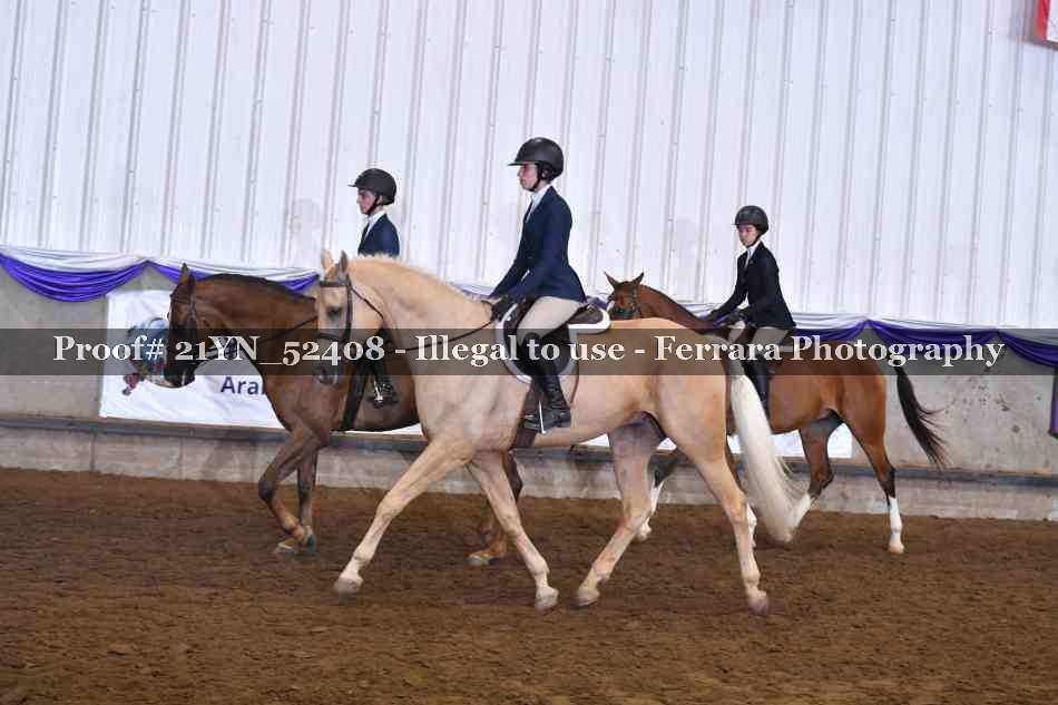 Proof 21YN_52408