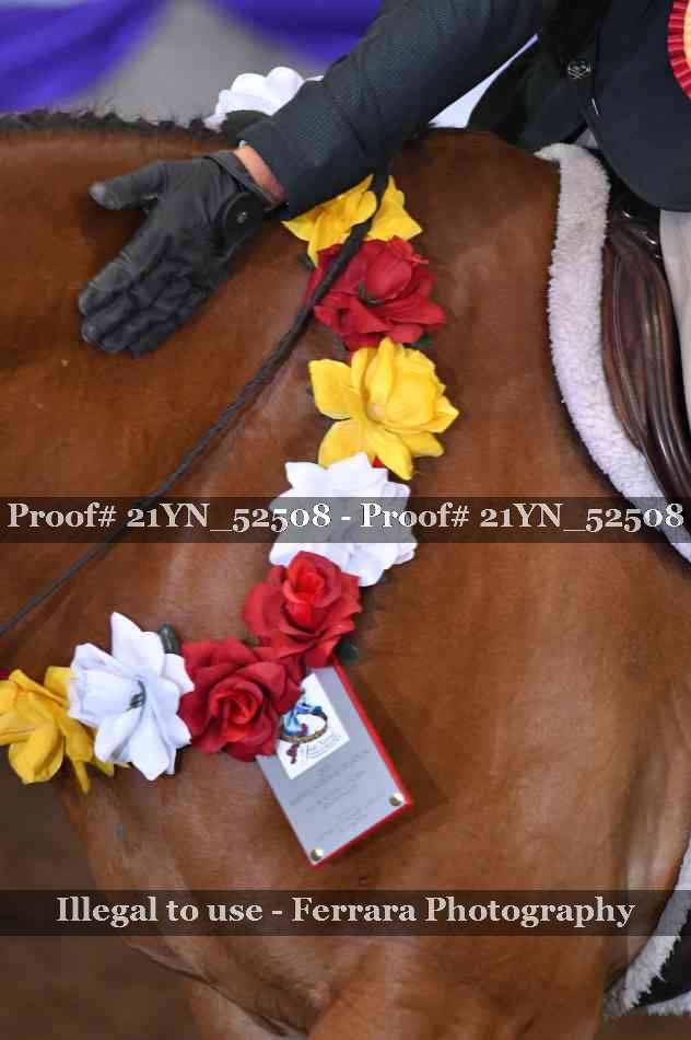 Proof 21YN_52508