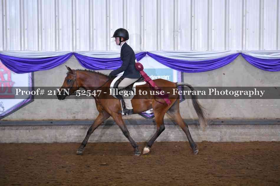 Proof 21YN_52547
