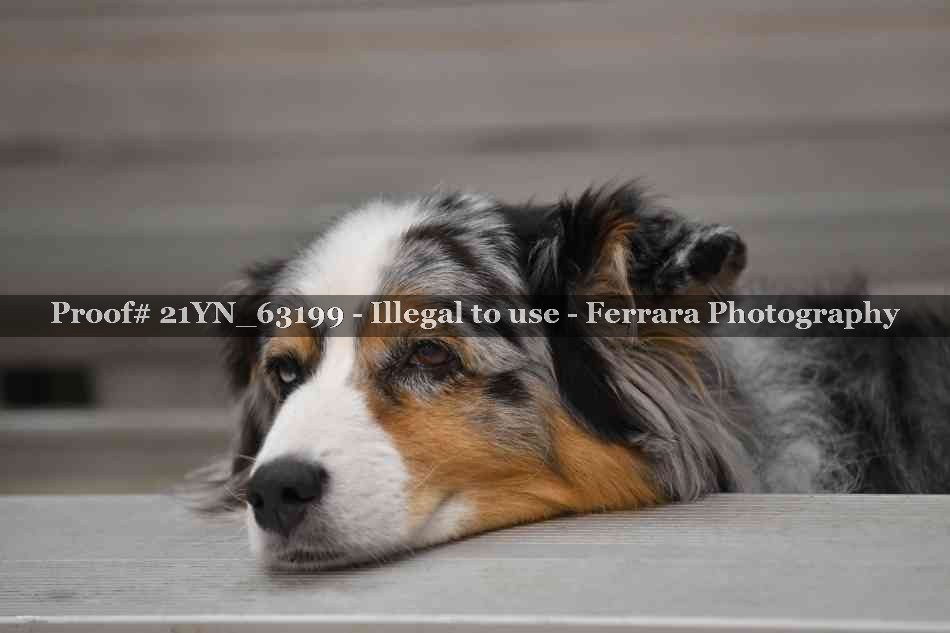 Proof 21YN_63199