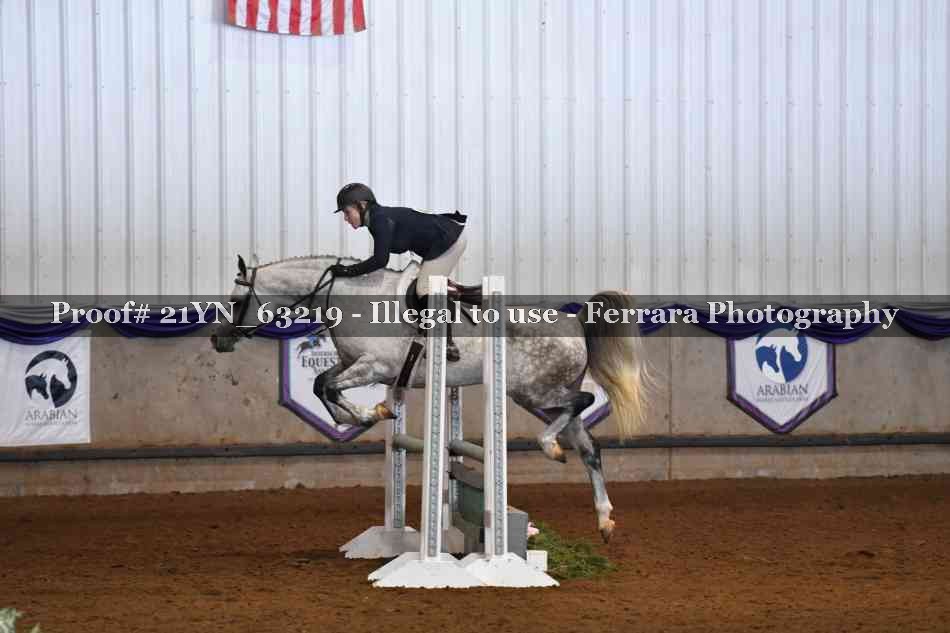 Proof 21YN_63219
