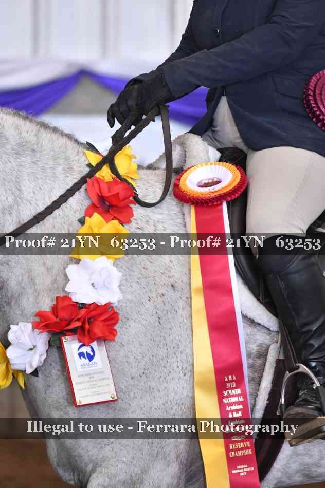 Proof 21YN_63253
