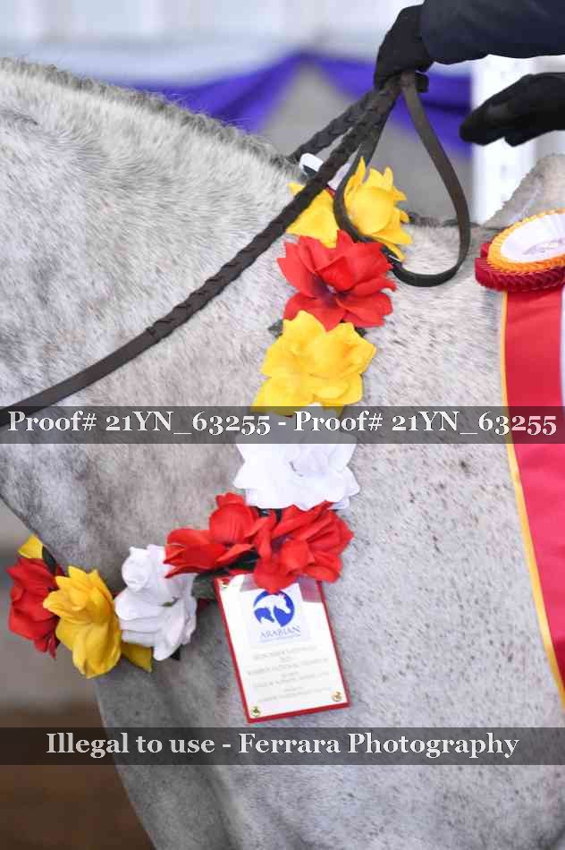 Proof 21YN_63255