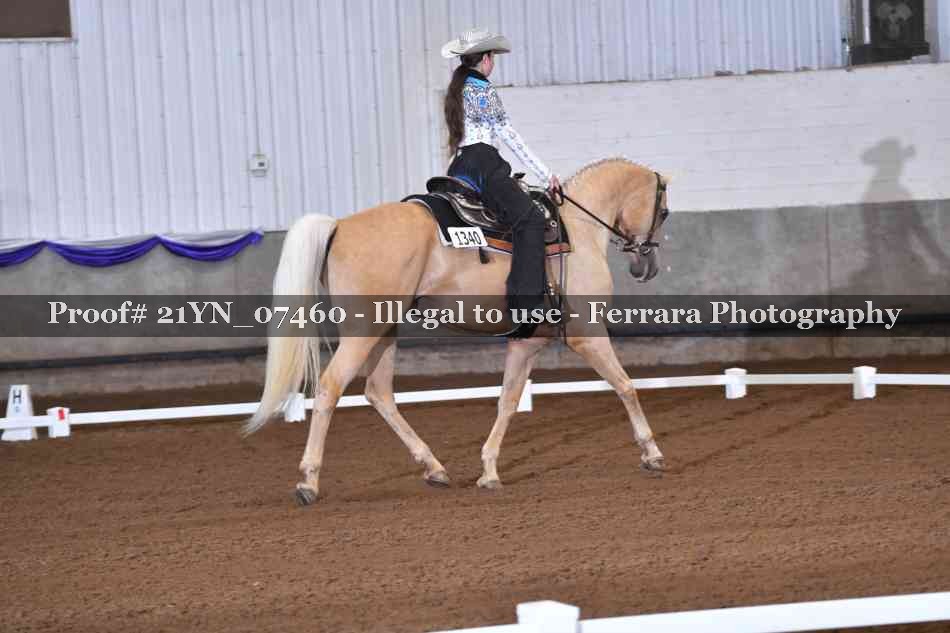 Proof 21YN_07460