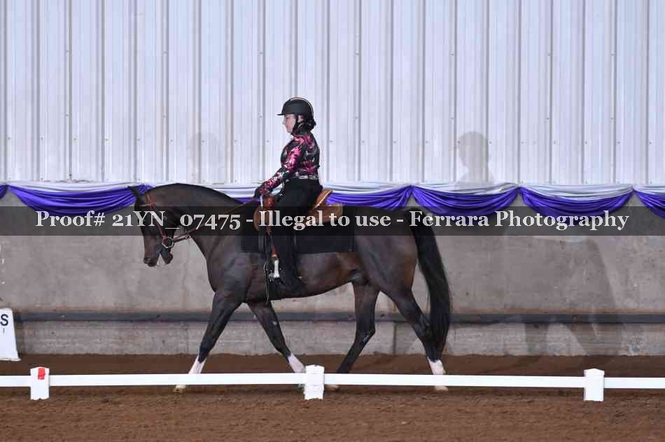 Proof 21YN_07475