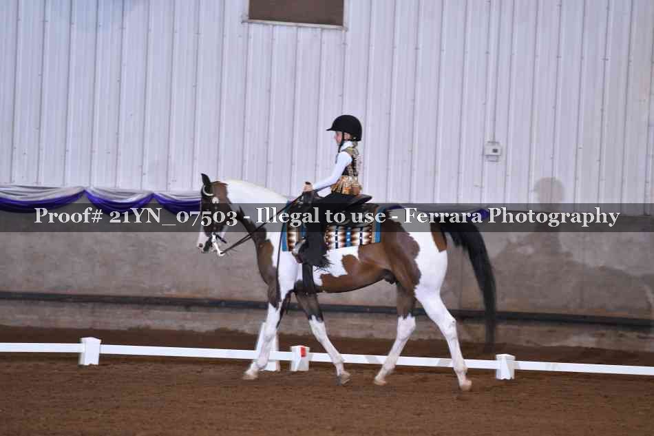 Proof 21YN_07503