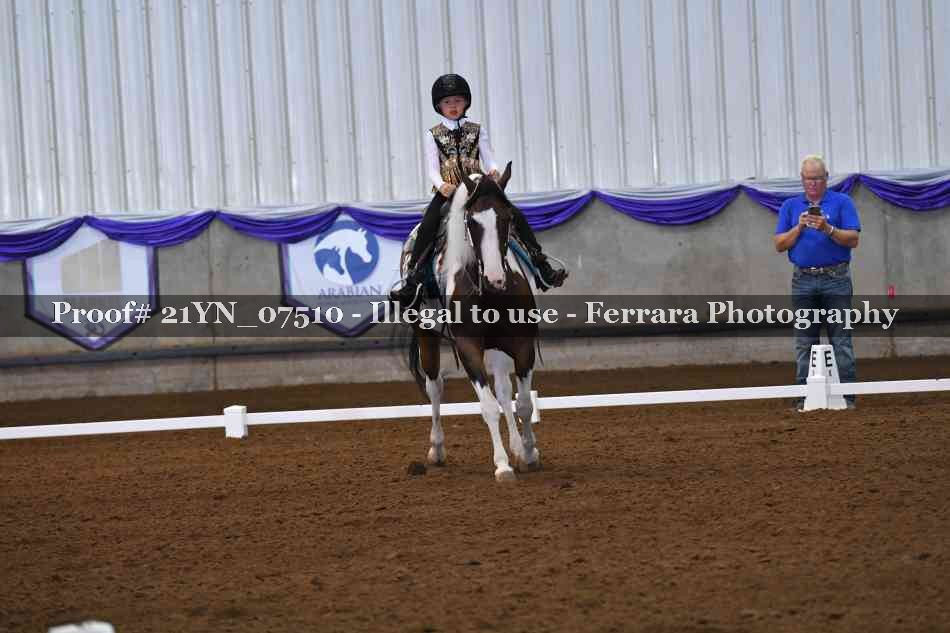 Proof 21YN_07510