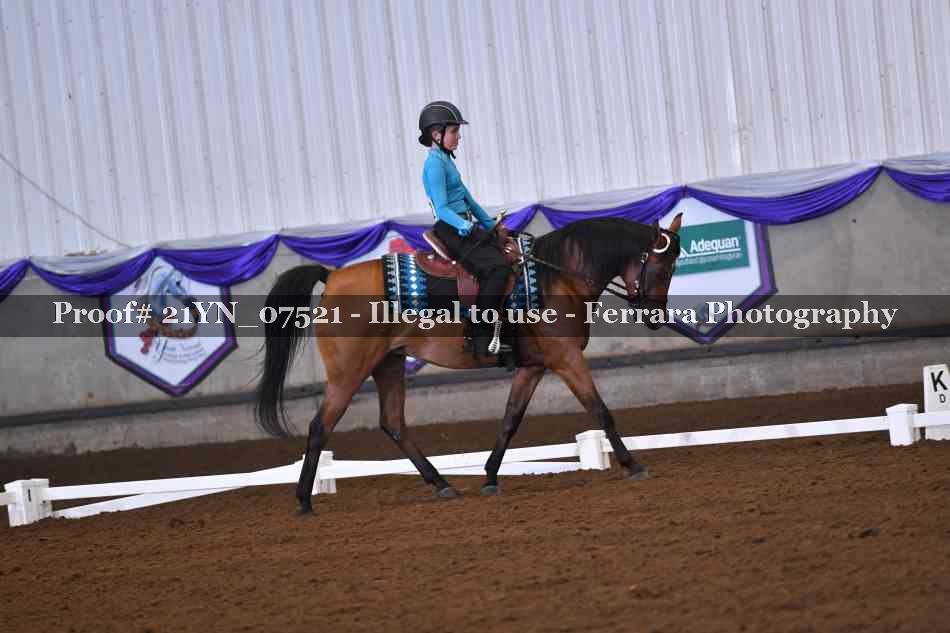 Proof 21YN_07521