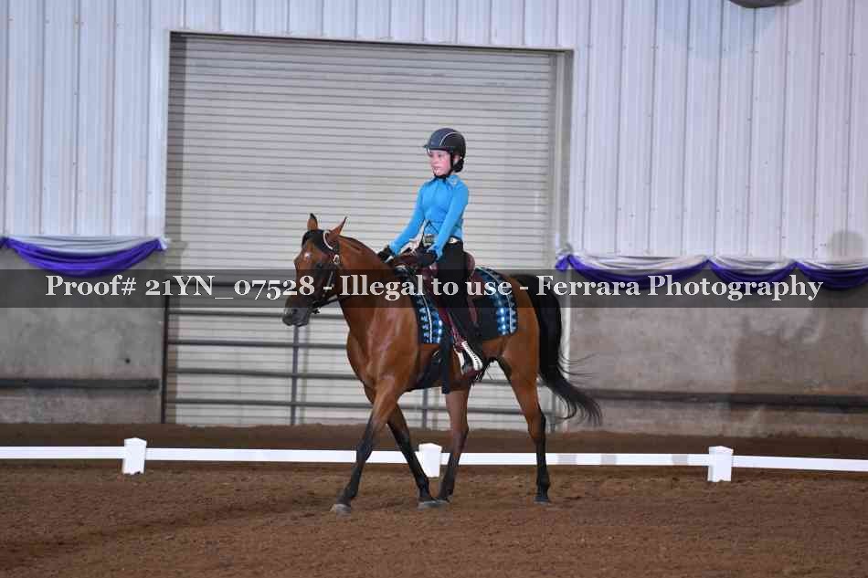 Proof 21YN_07528