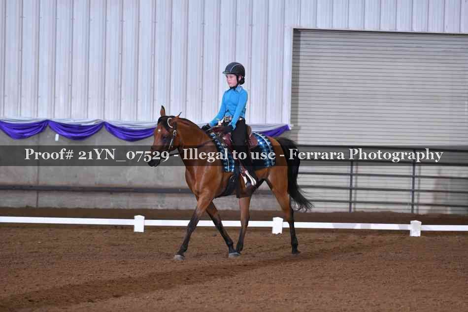 Proof 21YN_07529