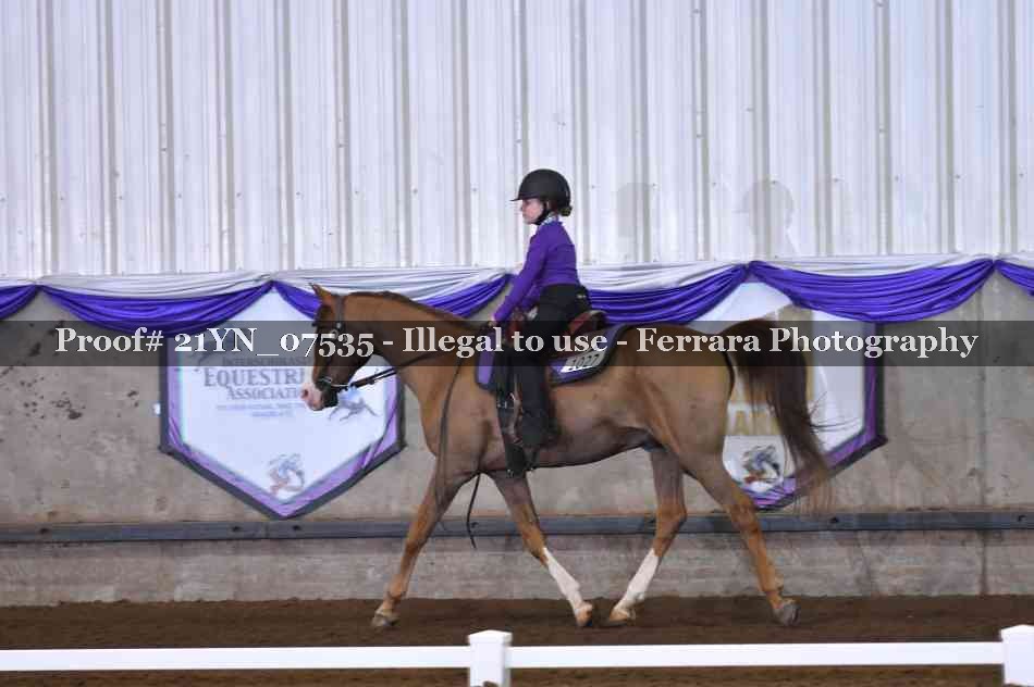 Proof 21YN_07535