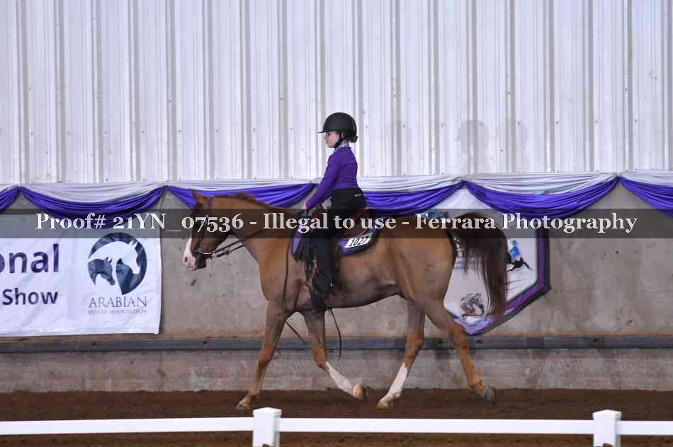 Proof 21YN_07536