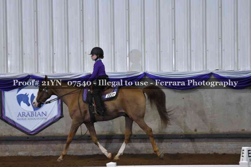 Proof 21YN_07540