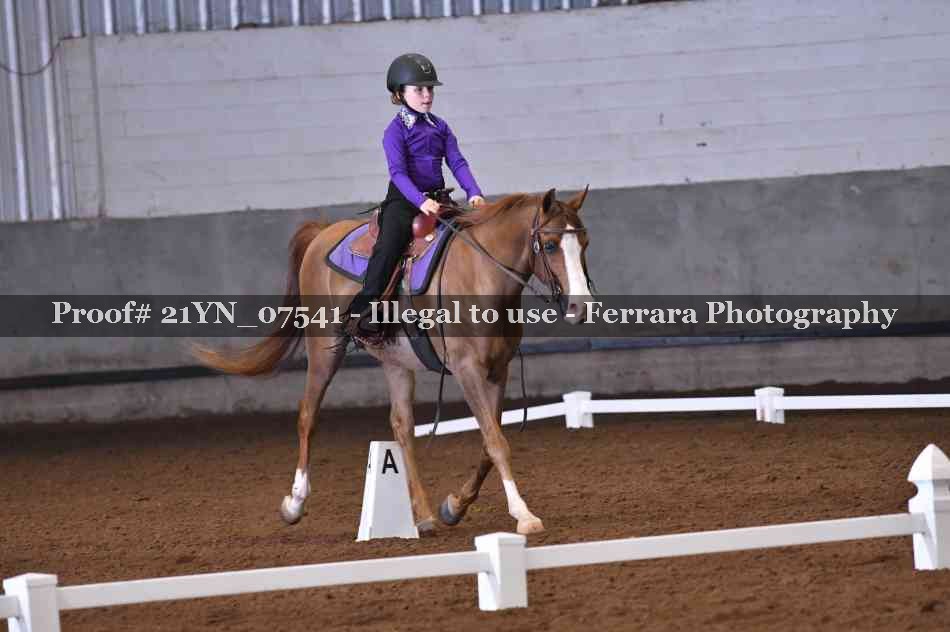 Proof 21YN_07541