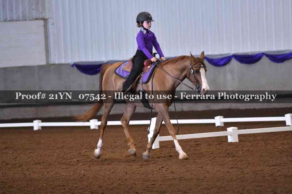 Proof 21YN_07542