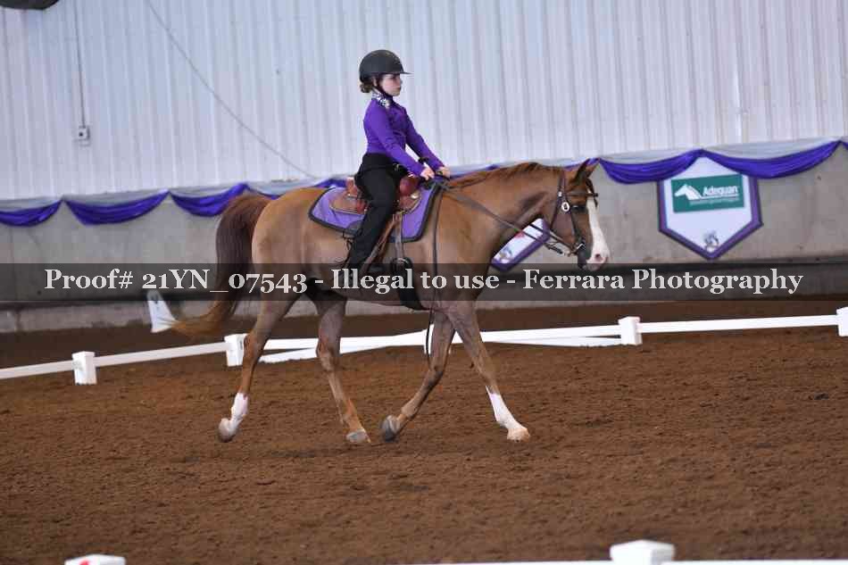 Proof 21YN_07543