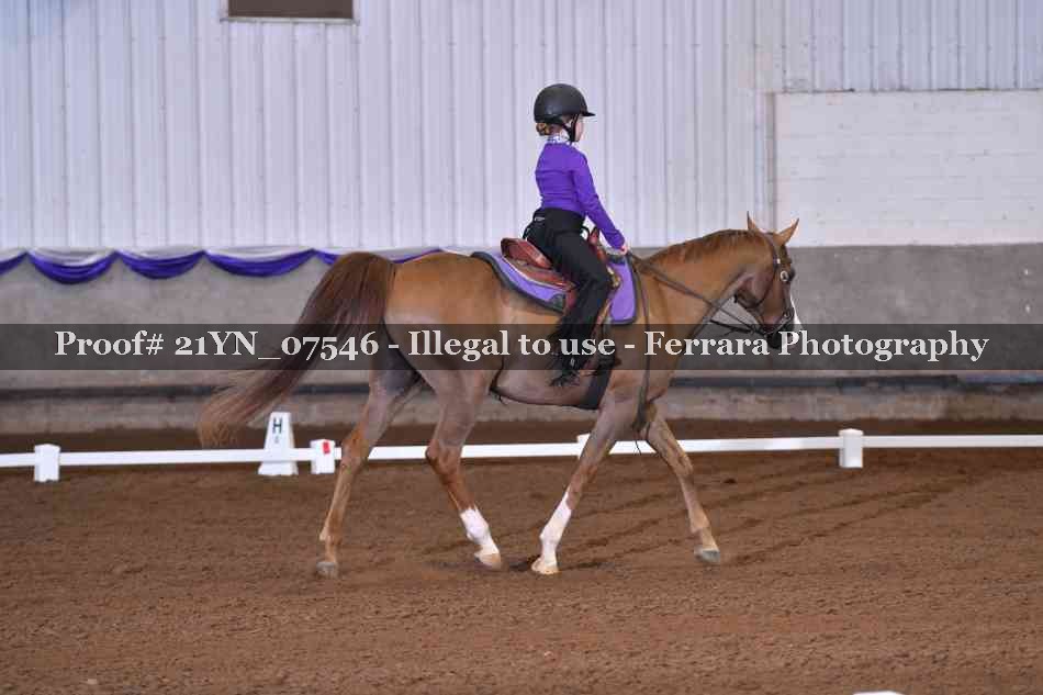 Proof 21YN_07546