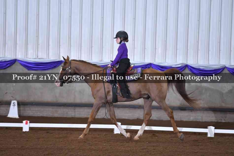 Proof 21YN_07550