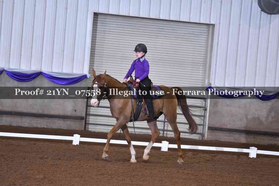Proof 21YN_07558