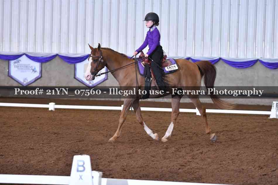 Proof 21YN_07560