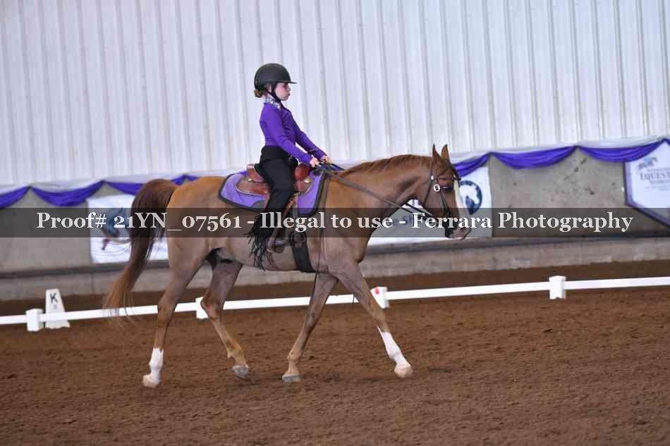 Proof 21YN_07561