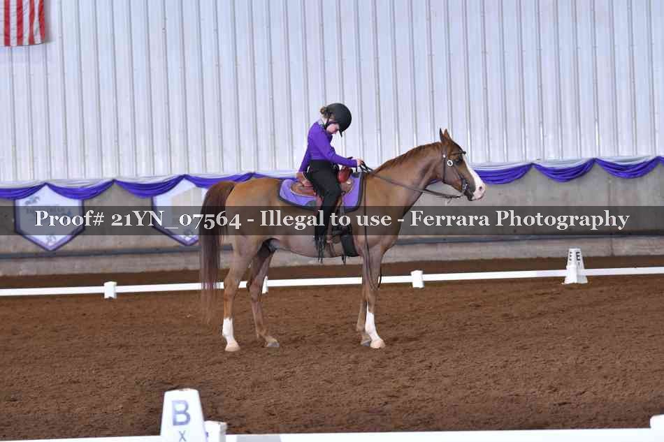 Proof 21YN_07564