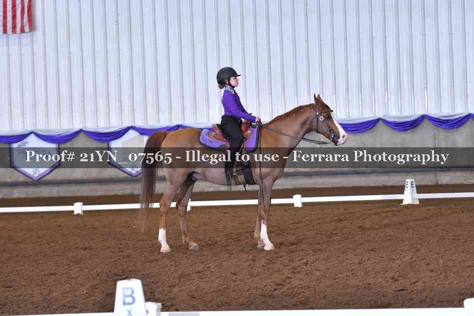 Proof 21YN_07565