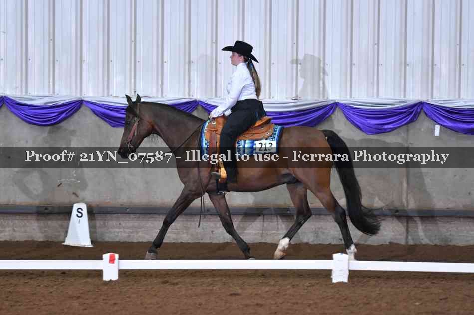 Proof 21YN_07587
