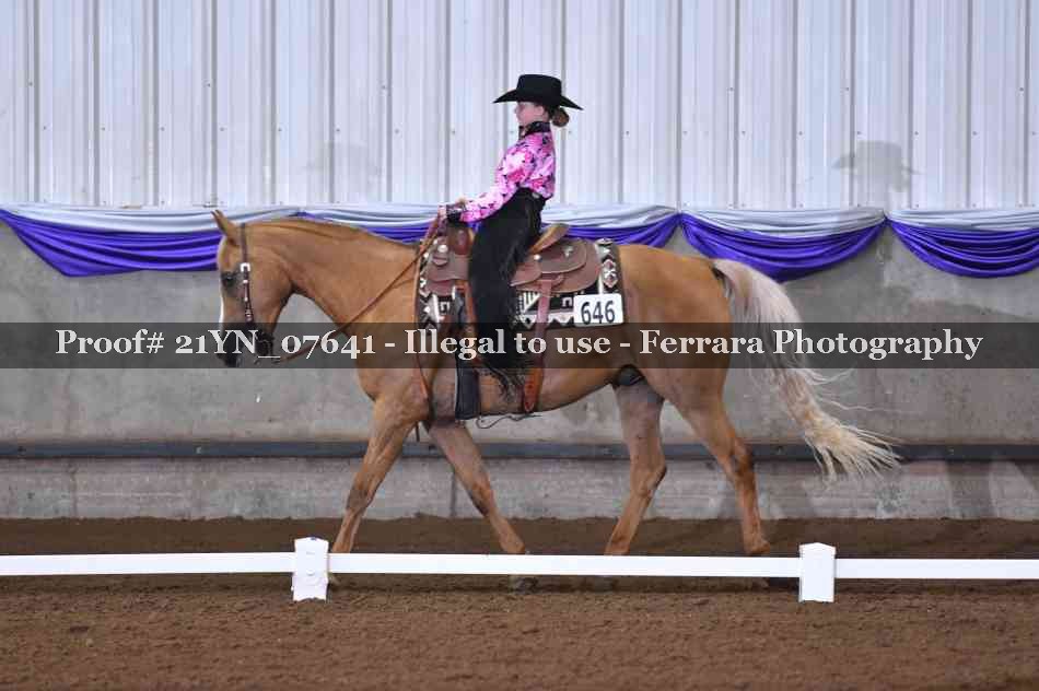 Proof 21YN_07641