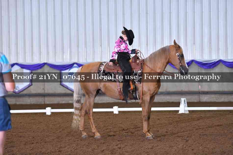 Proof 21YN_07645