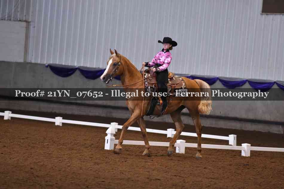 Proof 21YN_07652