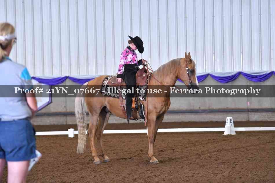 Proof 21YN_07667