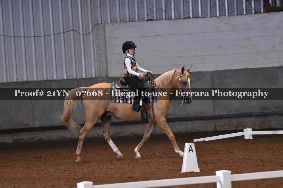 Proof 21YN_07668