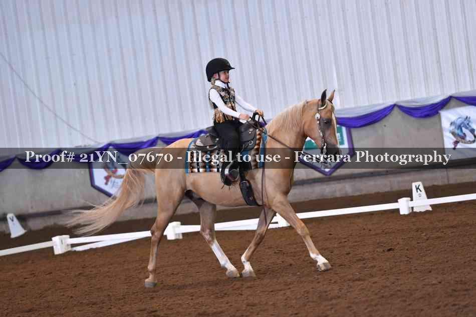 Proof 21YN_07670