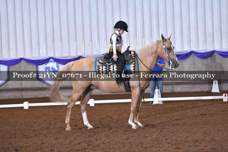 Proof 21YN_07671