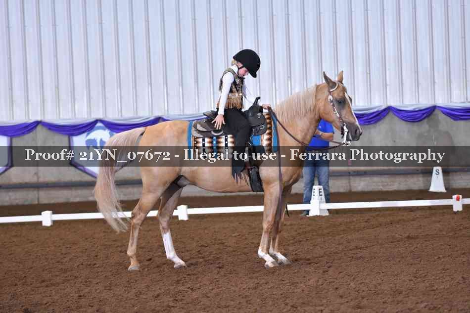 Proof 21YN_07672