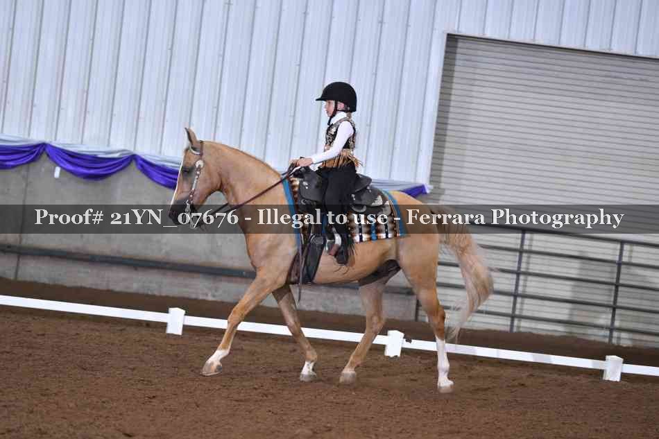 Proof 21YN_07676